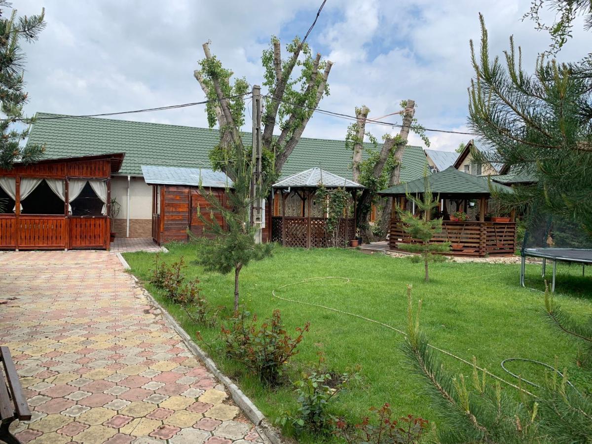 Pensiune Restaurant Rustic Rm Sarat Râmnicu Sărat Kültér fotó